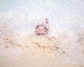 ÃÂ Drowning Snorkler Royalty Free Stock Photo